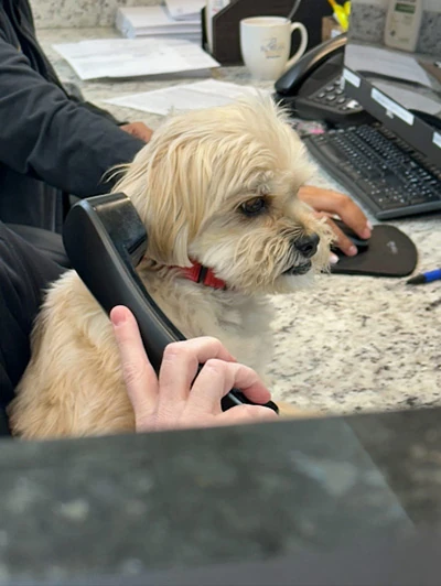 Sully taking a phone call at Roman Dental Arts